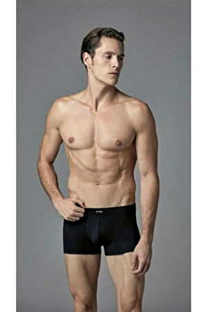 Micromodal Boxer 2li