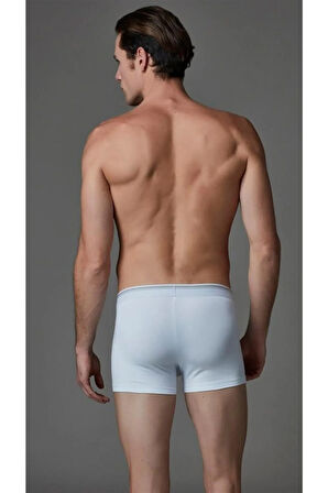 Micromodal Boxer 2li