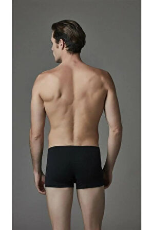 Micromodal Boxer 2li