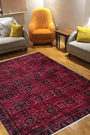 EFES 2303 Geleneksel Motif Yumuşak Doku Leke Tutmayan Modern Halı Kilim