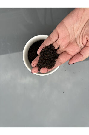 Amber Eynesil Export 1.Kalite Doğal Çay 10 kg Koli