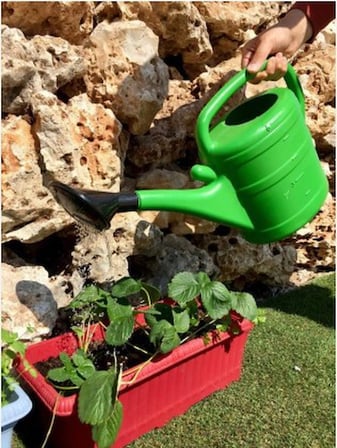 Bahçe Çiçek Sulama İbriği Süzgeçli 10 Litre