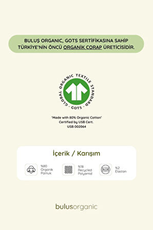 3'lü Pamuk Penye Likralı Erkek Çorap