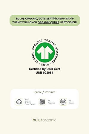 3'lü Kız Çocuk Meyve ve Çiçek Desenli Çorap