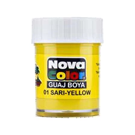 Nova Color Guaj Boya Şişe 12 Lİ Kırmızı NC-104-12'li Paket