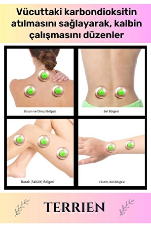 Çatlak Vakumlu Selülit Yağ Çatlak Giderici 6 Numara Hacamat Kupası 10 Adet