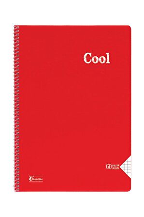 Keskin Color Cool Defter Kareli Spiralli Pp Kapak A4 40 Yaprak