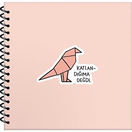 Keskin Color Sticker Defter Spr.Sert Kapak Hisli Şeyler 16x15 50 YP Çizgili