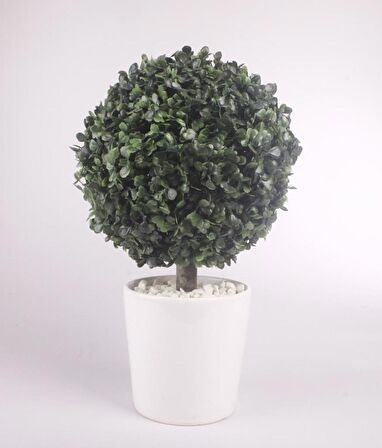 Yapay Ağaç Şimşir Top Tek Toplu 20x35cm Seramik Saksılı