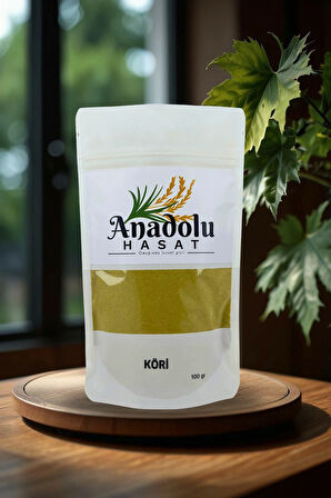 Köri Baharatı 100gr