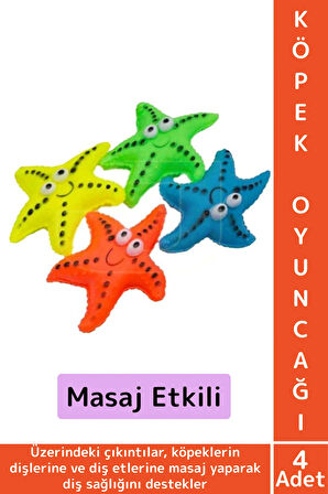 Evcil Hayvan Köpek Diş Temizliği Kaşıma Masaj İlgi Çekici Denizyıldızı Figür Çiğneme Oyuncağı 4 Adet