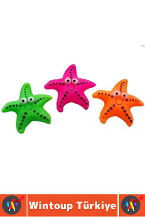 Evcil Hayvan Köpek Diş Temizliği Kaşıma Masaj İlgi Çekici Denizyıldızı Figür Çiğneme Oyuncağı 4 Adet
