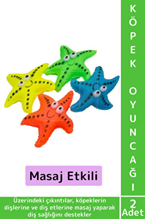 Evcil Hayvan Köpek Diş Temizliği Kaşıma Masaj İlgi Çekici Denizyıldızı Figür Çiğneme Oyuncağı 2 Adet