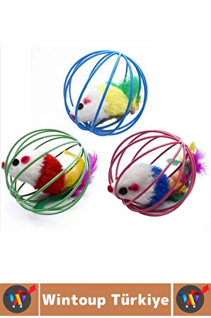 Evcil Hayvan İlgi Çekici Eğlenceli Vakit Zihinsel Gelişim Kafesli Fareli Kedi Köpek Oyun Topu