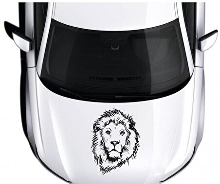 Aslan Ön Kabut Sticker Araba Stickerı Yapıştırma