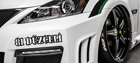 Düzceli 81 Plaka Araba oto Sticker Yapıştırma 2 Adet