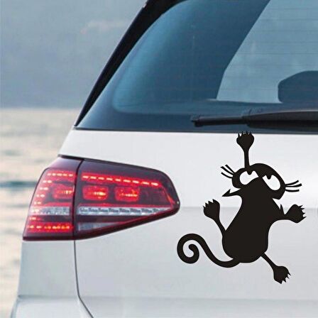 Arabaya Tırmanan Sevimli Kedi Sticker