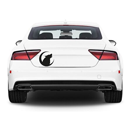 kurt Araba Stickerı Vinil Sticker Yapıştırma