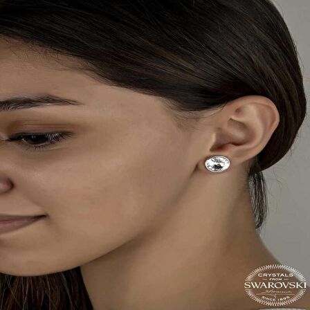 Swarovski Crystal Taşlı Lucky Life 925 Ayar Gumuss  Çivili Kadın Küpe