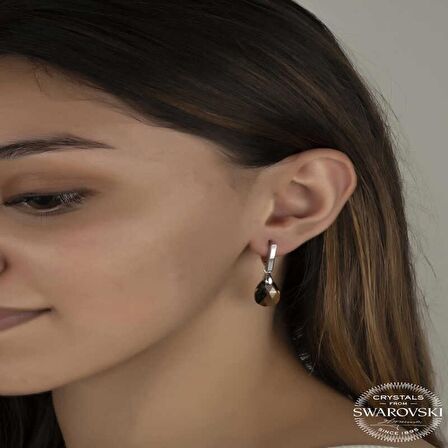 Swarovski Crystal Taşlı Lucky Life 925 Ayar Gumuss  Damla Sallantılı Kadın Küpe