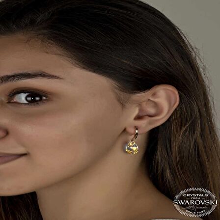 Swarovski Crystal Taşlı Lucky Life 925 Ayar Gumuss  Damla Sallantılı Kadın Küpe