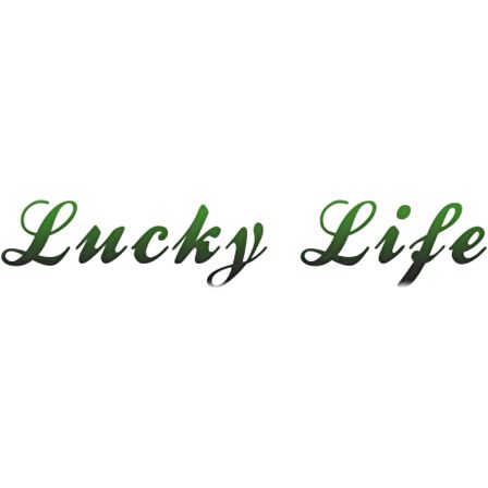 ​Lucky Life 925 Ayar Gumuss Gözyaşı Damla Çivili Kadın Küpe