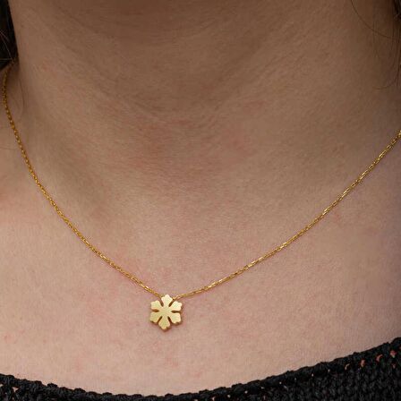 Lucky Life & Han-gar 925 Ayar Gumuss  Gold Minimal Kar Tanesi Kadın Kolye