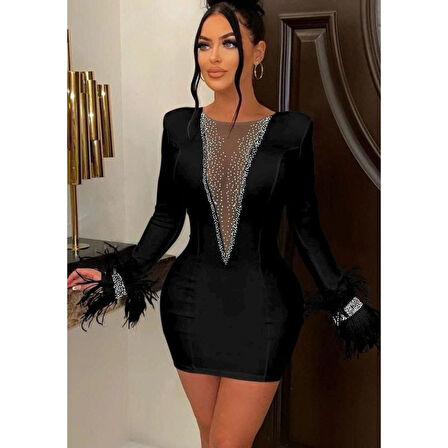 Lucky Life Kadın Dalgıç Kumaş Tül Ve Taş Aksesuarlı Kolları Tüylü Mini Boy Elbise