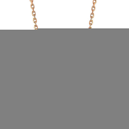 Gümüş Pembe Aşk Oku Bayan Kolye