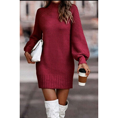 Lucky Life Lucky Life Kadın Uzun Kollu Balıkçı Yaka Mini Triko Elbise