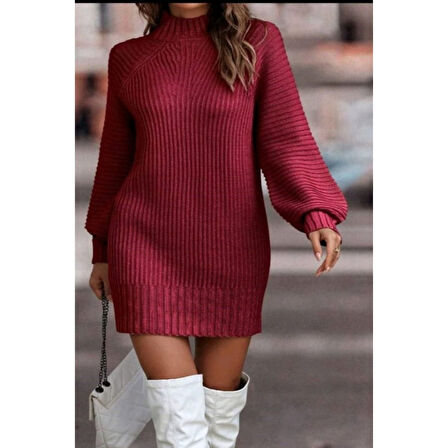 Lucky Life Lucky Life Kadın Uzun Kollu Balıkçı Yaka Mini Triko Elbise