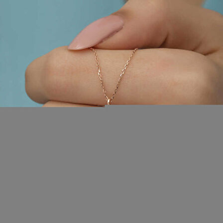 Gümüş Rose Kutup Yıldızı Kadın Kolye