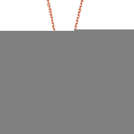 Gümüş Kar Tanesi Kadın Kolye