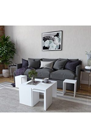 Decormet Ortanca Sehpa Beyaz
