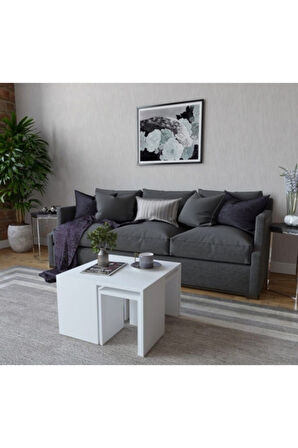 Decormet Ortanca Sehpa Beyaz