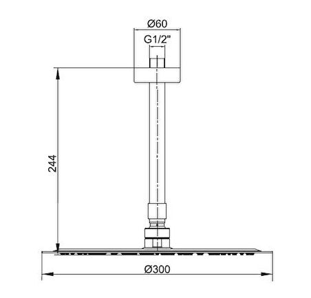 Ar Ark İnce Yuvarlak Tepe Duş Başlığı Tavandan Borulu (Ø 300 mm) 102145057