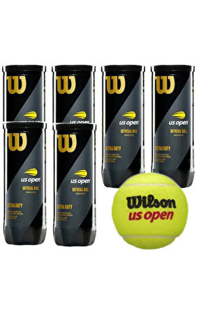 6 Kutu Us Open Tenis Topu Vakum Ambalajda