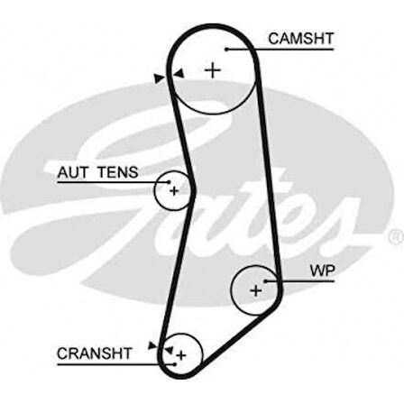 Fiat Eksantrık Kayısı (129x220) 129 Dis Doblo Grande Punto İdea Linea Panda Strada Ford Ka 1,2 Ct1115 - Gates 5627xs