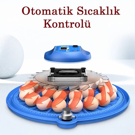 80 Yumurta Kapasiteli Tam Otomatik Kuluçka Makinesi
