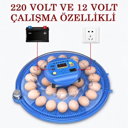 80 Yumurta Kapasiteli Tam Otomatik Kuluçka Makinesi