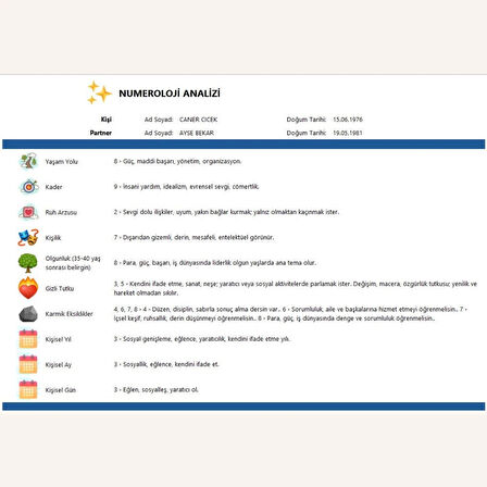 Numeroloji Programı – Excel Tabanlı Lisanslı Yazılım (Dijital Teslim)