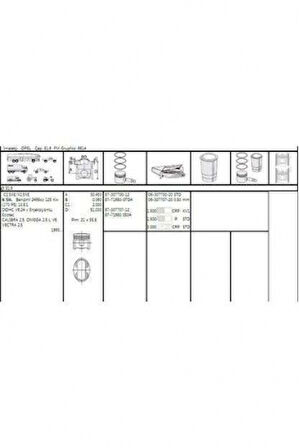 Opel Motor Segman X25xe Omega B Vectra B 2500 24v 81.60mm Std (1.5x1.5x3.0) 6 Silindir Takım - Akd 222-3542-00