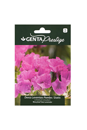 Çiçek Tohumu Deniz Lavantası - Statis Pembe