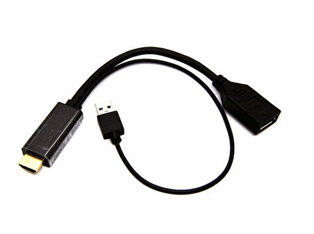 Beek BC-DSP-ADP-HA-DP HDMI to DISPLAY PORT Erkek-Dişi Dönüştürücü Adaptör