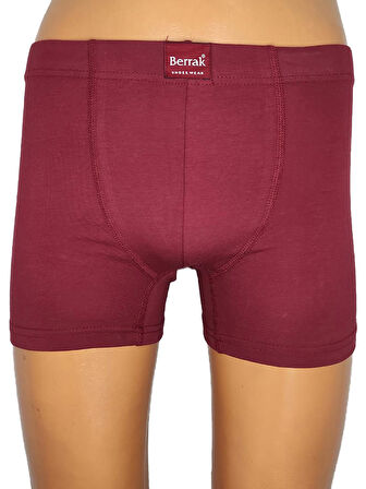 Berrak 4498 Erkek Renkli Boxer