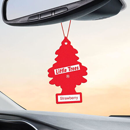 Car Freshner Asma Koku 3'lü Vahşi, Çilek, Şehir Karışık Set