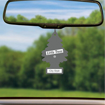 Car Freshner Asma Koku 3'lü Vahşi, Çilek, Şehir Karışık Set