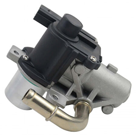 Renault Egr Valfı Megane III Fluence Duster Clio IV - Delphi Eg10493-12b1