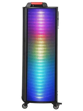 Taşınabilir 10 İnç 60w Tekerli Rgb Işıklı  Bluetooth Mikrofonlu Hoparlör Ndr-A1010S