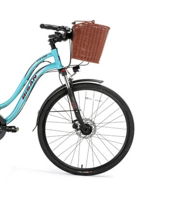 Bisan CTX 6300 28 Jant 21 Vites Kadın Şehir Bisikleti Disk Fren Turkuaz - Bordo 46 Cm Kadro